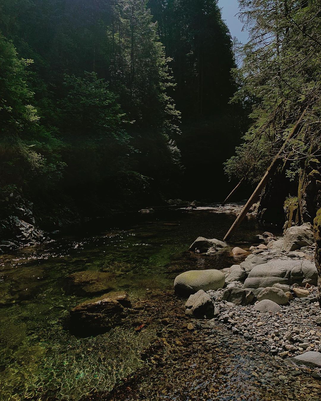 Spent the afternoon hiking and swimming down Lynn Creek. The shock of the cold was...